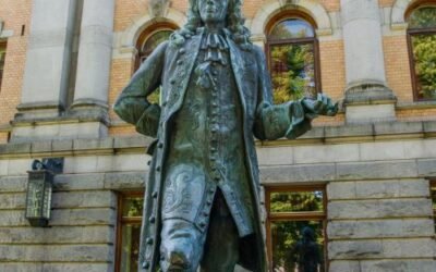 Verwendung von Hilfsverben